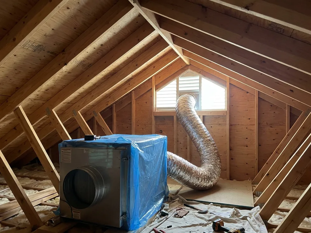 Attic Mold Removal in Mexico, MO